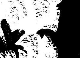 Problem z wyświetleniem zdjęcia: „Wydzielona warstwa wody na podstawie zdjęcia Santinel 2 przed nadaniem barw”