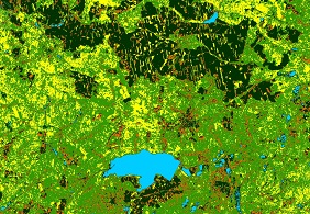 Problem z wyświetleniem zdjęcia: „Mapa użytkowania terenu w 1984 roku”