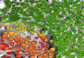 Problem z wyświetleniem zdjęcia: „Stosunki objętościowe w obrębie lejów”